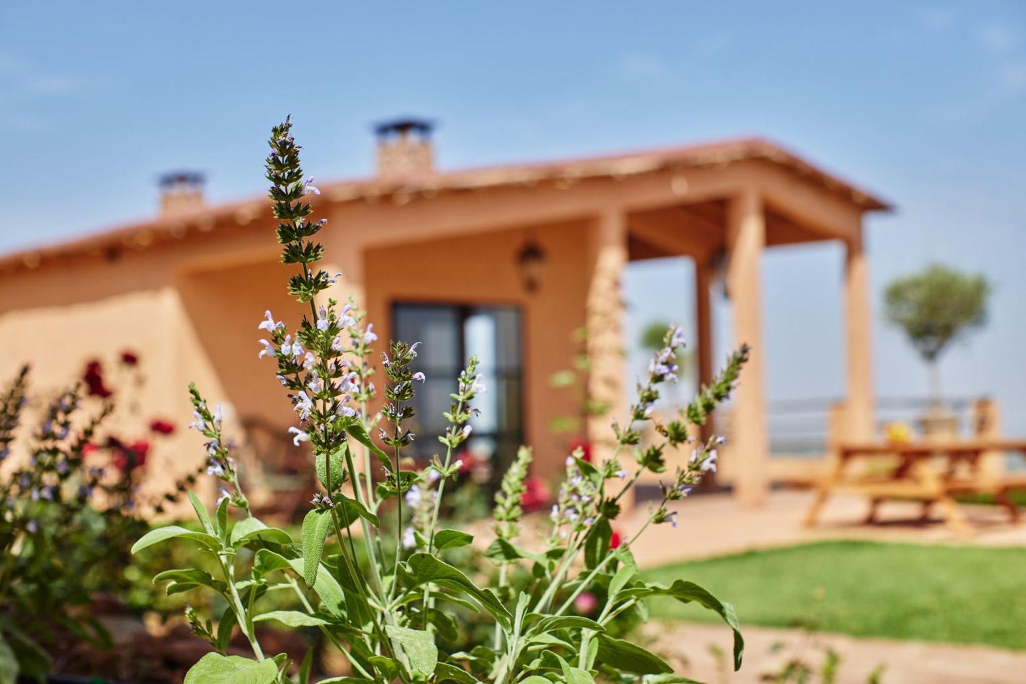 Dar Imiri Bed & Breakfast Ourika Exterior photo